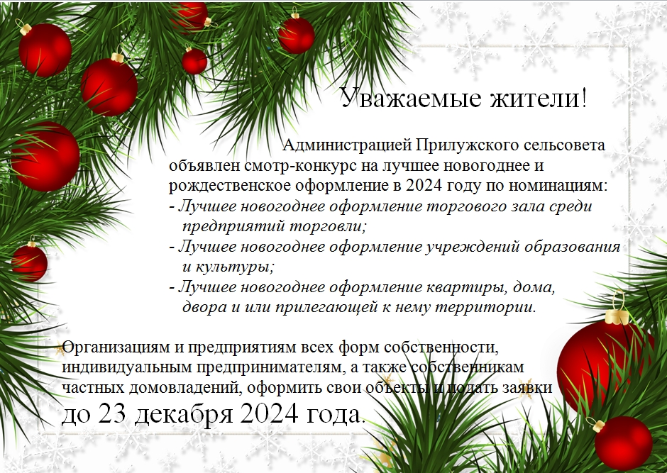 Смотр - конкурс на лучшее новогоднее и рождественское оформление в 2024 году.